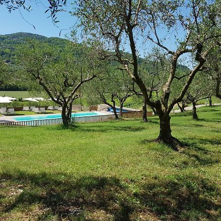 Il Vecchio Gelso - Agriturismo Rimini Montefiore Conca Villa Eksteriør billede