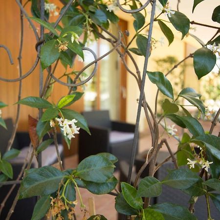 Il Vecchio Gelso - Agriturismo Rimini Montefiore Conca Villa Eksteriør billede
