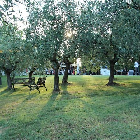 Il Vecchio Gelso - Agriturismo Rimini Montefiore Conca Villa Eksteriør billede