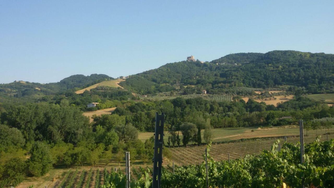 Il Vecchio Gelso - Agriturismo Rimini Montefiore Conca Villa Eksteriør billede
