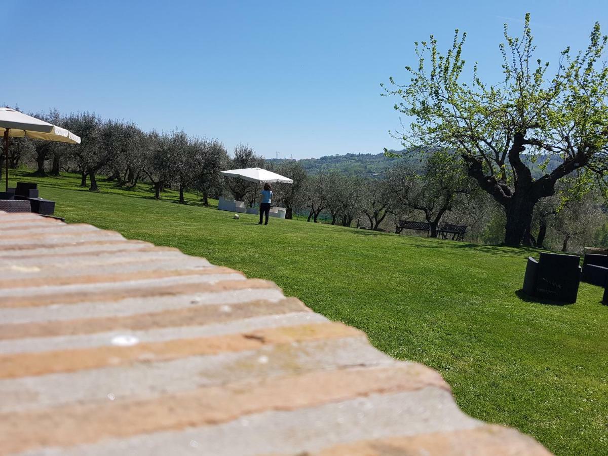 Il Vecchio Gelso - Agriturismo Rimini Montefiore Conca Villa Eksteriør billede