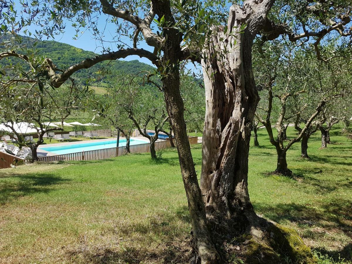 Il Vecchio Gelso - Agriturismo Rimini Montefiore Conca Villa Eksteriør billede