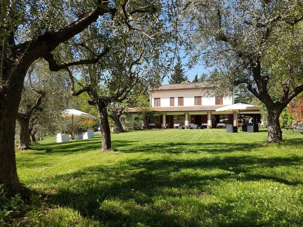 Il Vecchio Gelso - Agriturismo Rimini Montefiore Conca Villa Eksteriør billede