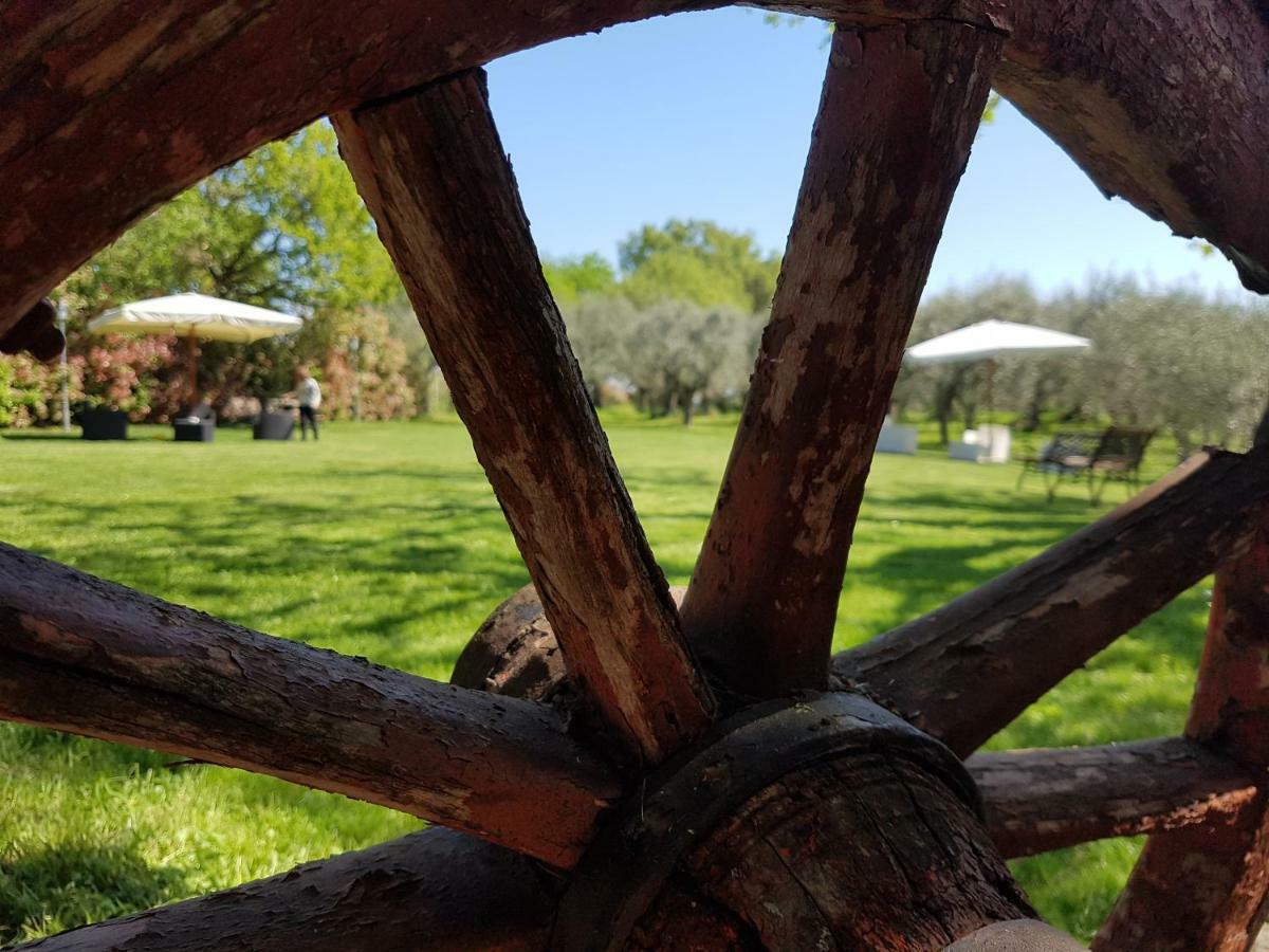 Il Vecchio Gelso - Agriturismo Rimini Montefiore Conca Villa Eksteriør billede