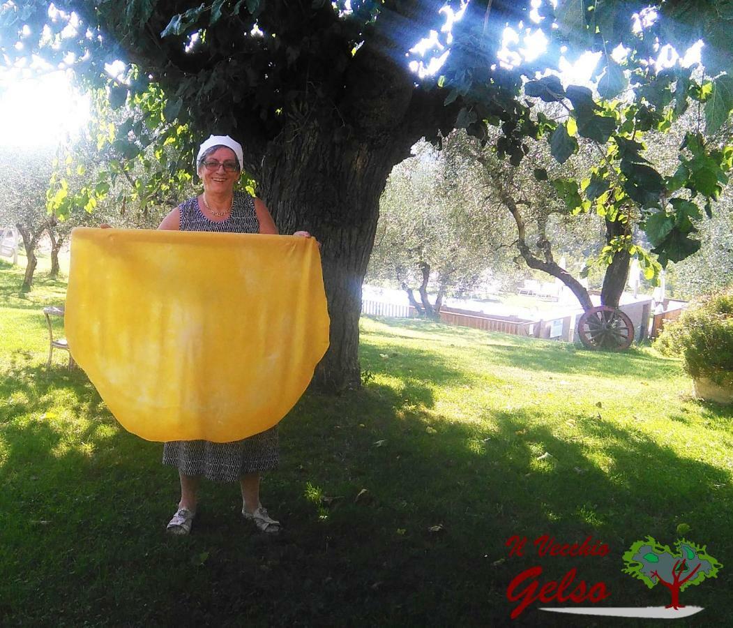 Il Vecchio Gelso - Agriturismo Rimini Montefiore Conca Villa Eksteriør billede