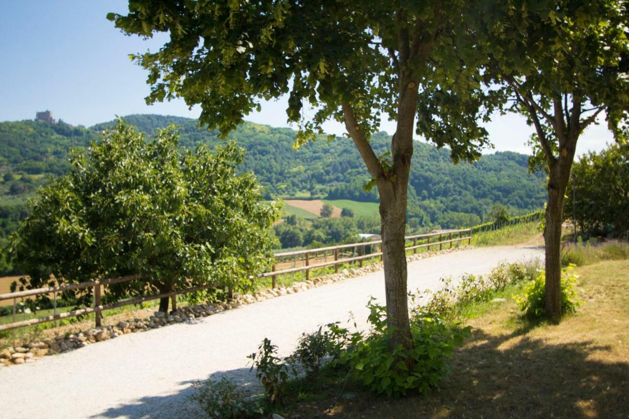 Il Vecchio Gelso - Agriturismo Rimini Montefiore Conca Villa Eksteriør billede