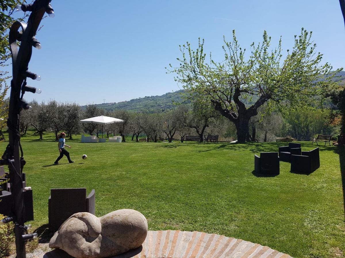 Il Vecchio Gelso - Agriturismo Rimini Montefiore Conca Villa Eksteriør billede