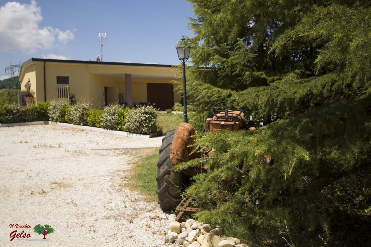 Il Vecchio Gelso - Agriturismo Rimini Montefiore Conca Villa Eksteriør billede