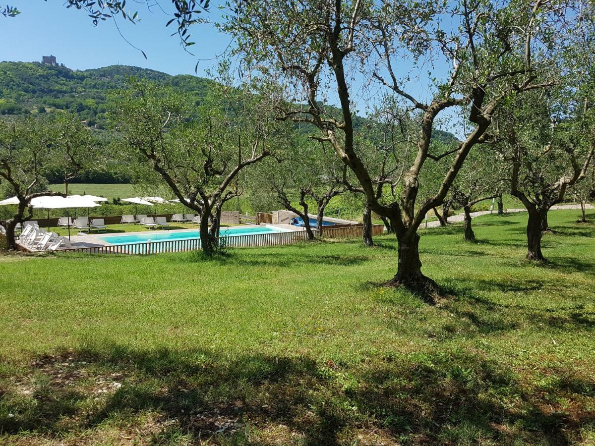 Il Vecchio Gelso - Agriturismo Rimini Montefiore Conca Villa Eksteriør billede