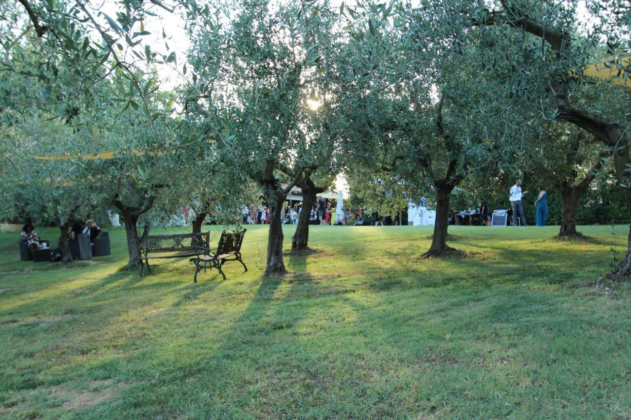 Il Vecchio Gelso - Agriturismo Rimini Montefiore Conca Villa Eksteriør billede