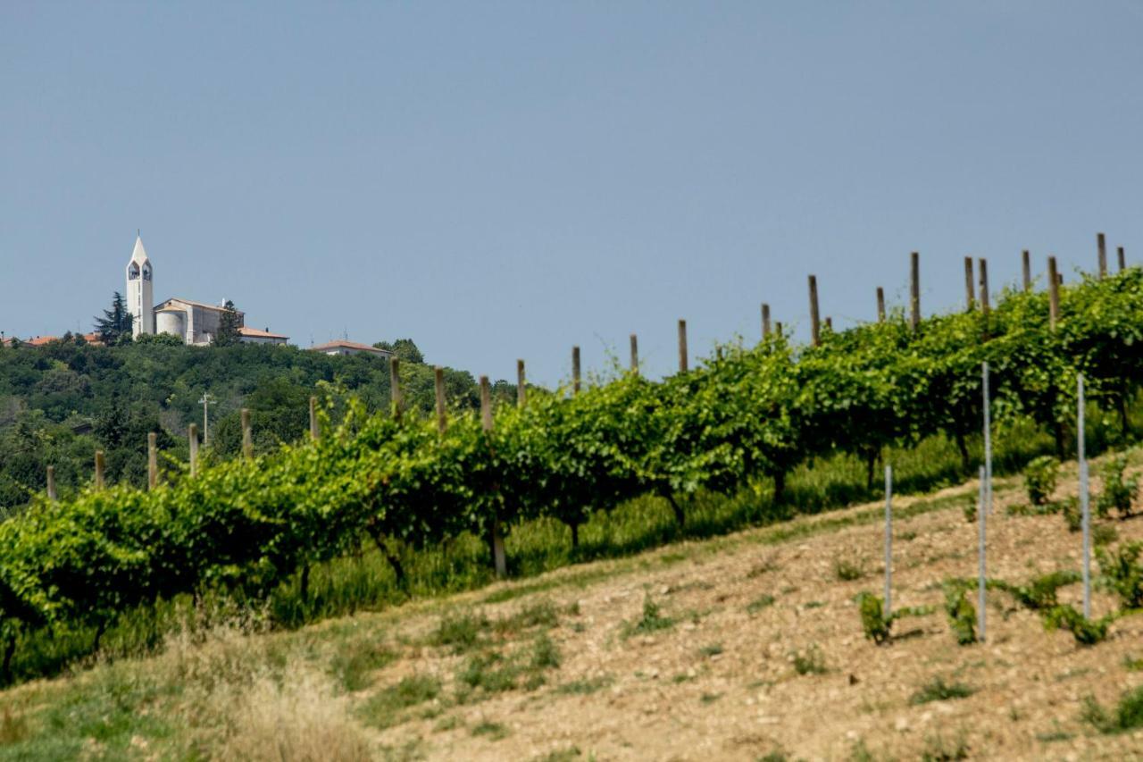 Il Vecchio Gelso - Agriturismo Rimini Montefiore Conca Villa Eksteriør billede