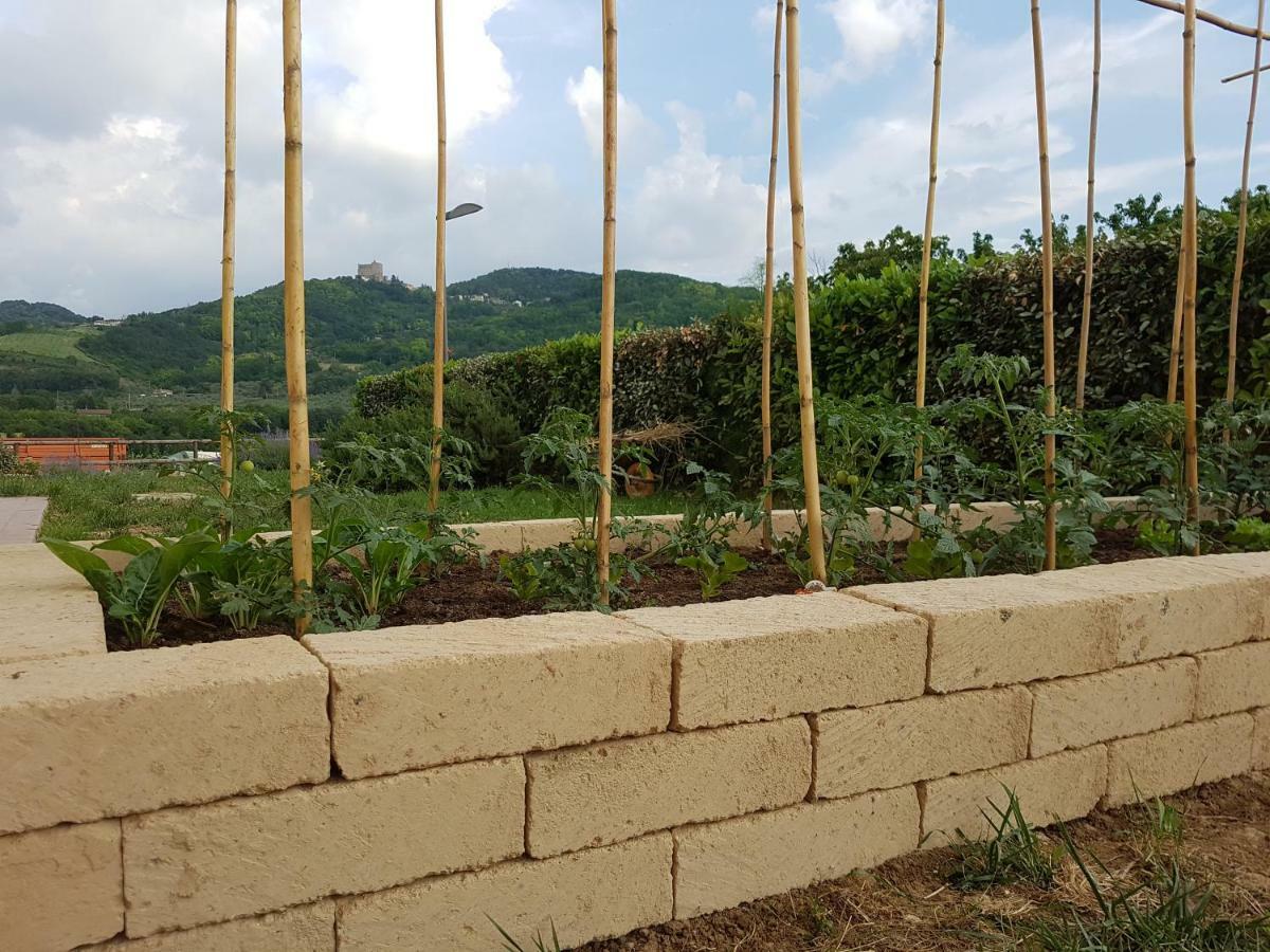 Il Vecchio Gelso - Agriturismo Rimini Montefiore Conca Villa Eksteriør billede